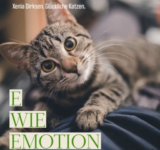 Xenias Katzen-ABC: “E wie Emotion”