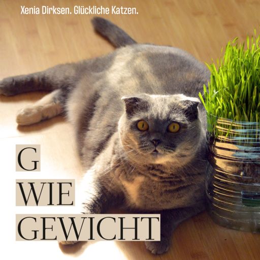 Xenias Katzen-ABC: “G wie Gewicht”