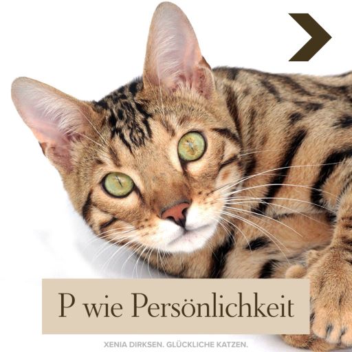 Xenias Katzen-ABC: “P wie Persönlichkeit”