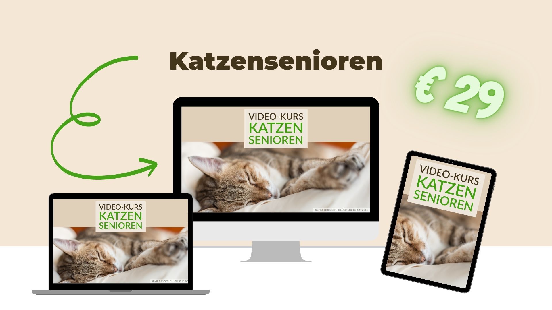 Der Onlinekurs "Katzensenioren" für 29 Euro
