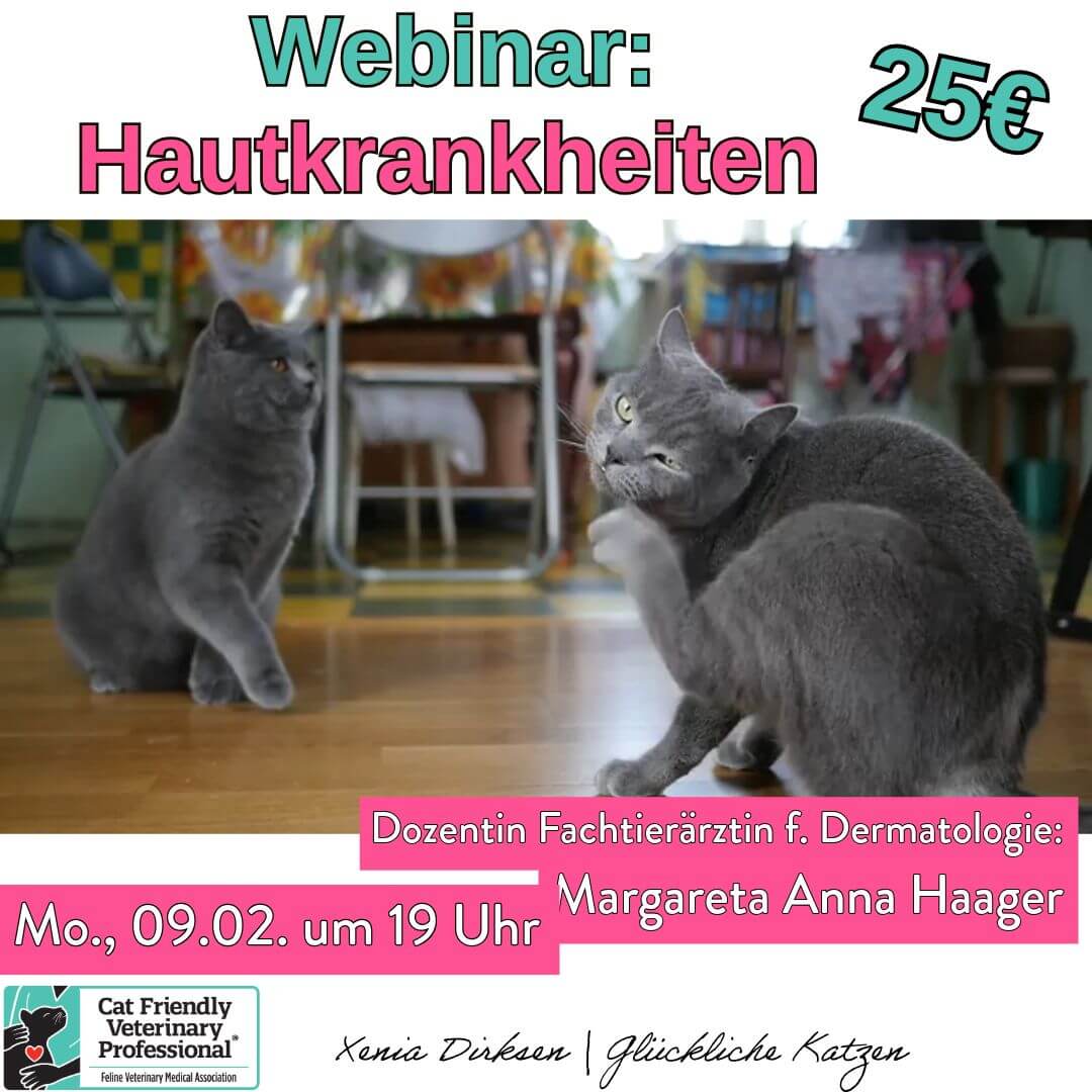 Orangefarbene Katze schleckt Nahrungsergänzung vom Finger, Hinweis auf Webinar mit Dr. Melanie Thes am 11.06.25 um 19 Uhr – Thema: Was braucht meine Katze wirklich?